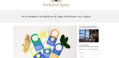 WELLNESS SPOTS